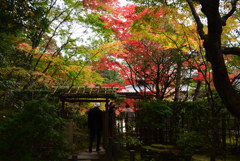 201113南禅寺18天授庵