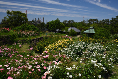 190522浜寺公園21