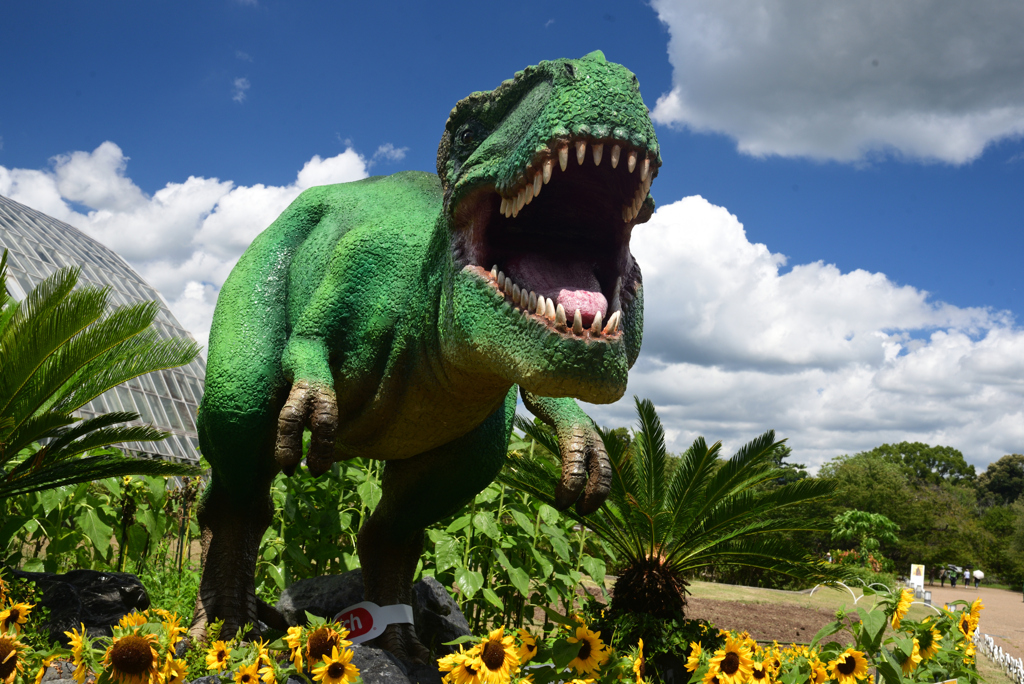 240823京都植物園47