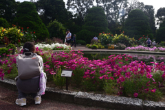 241025京都植物園15