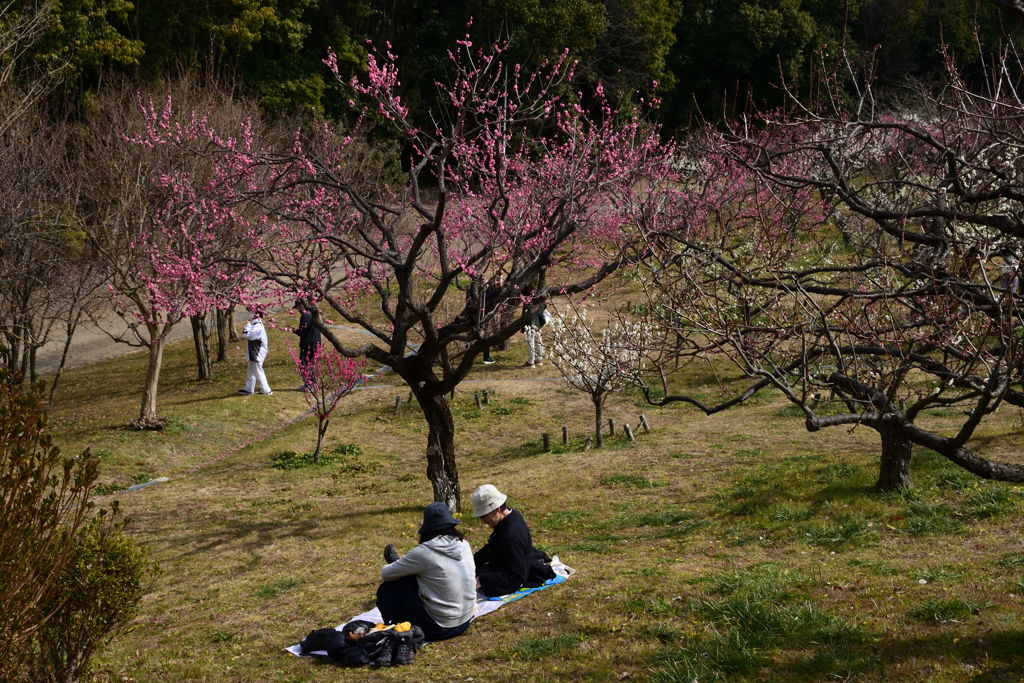 220305a山田池公園35