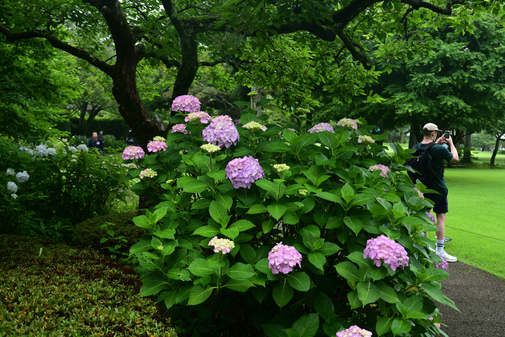 230623e彫刻の森美術館70