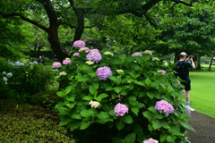 230623e彫刻の森美術館70