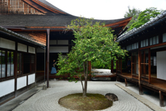 250829a建仁寺12