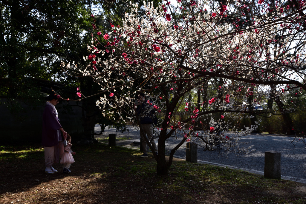 190223b京都御苑02