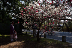 190223b京都御苑02