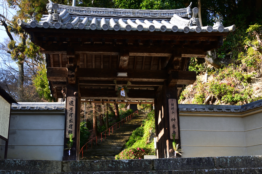 220103a神應寺01
