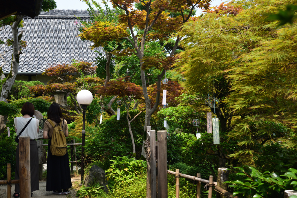 190728cおふさ観音19