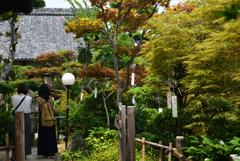 190728cおふさ観音19