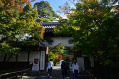 241112a永観堂01