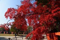 181127d上賀茂神社25