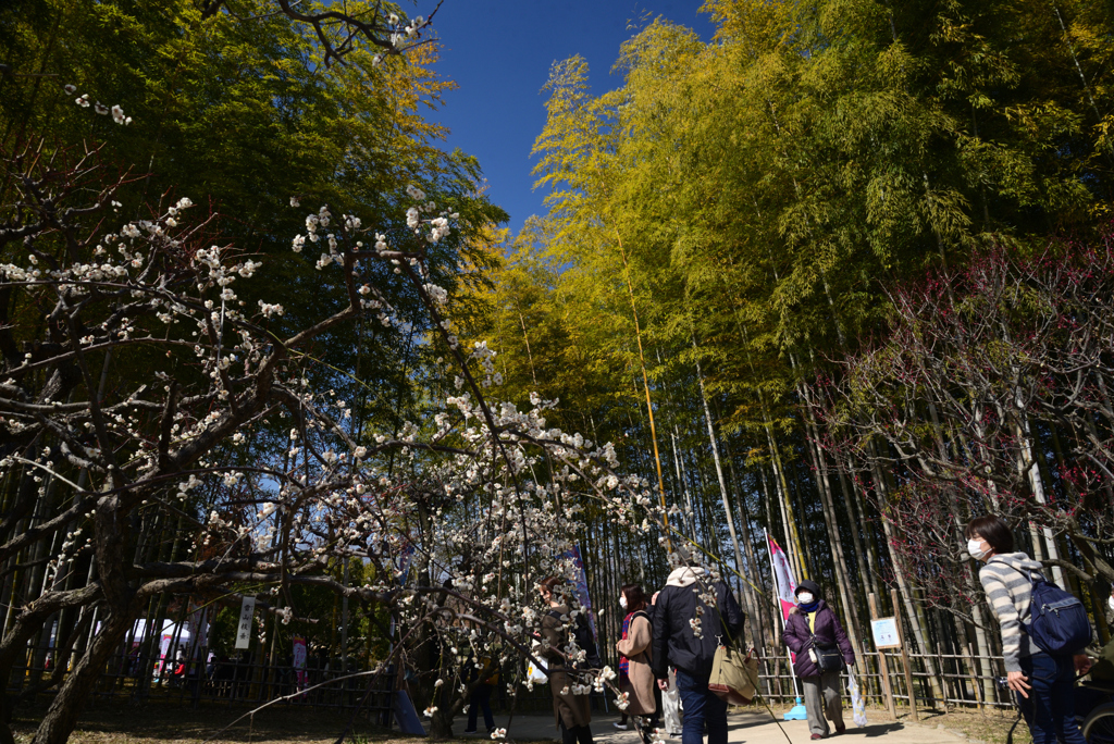 220226万博公園12