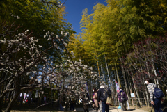 220226万博公園12