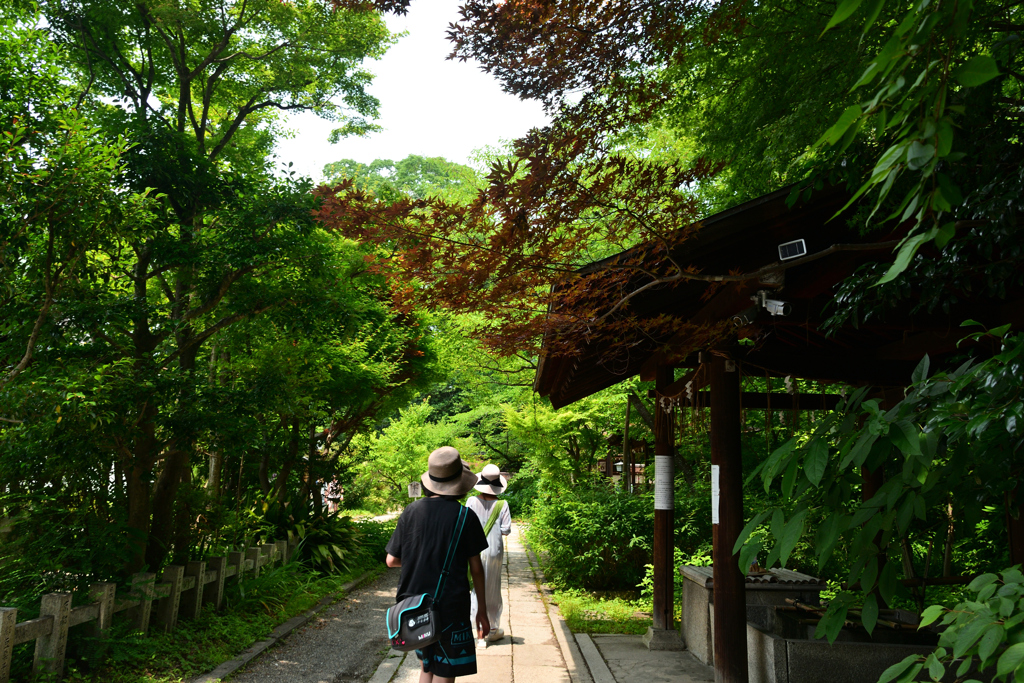 250701京都御苑02