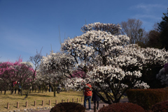 190218荒山公園57