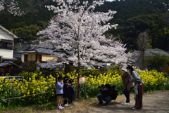 210327a山科疎水30