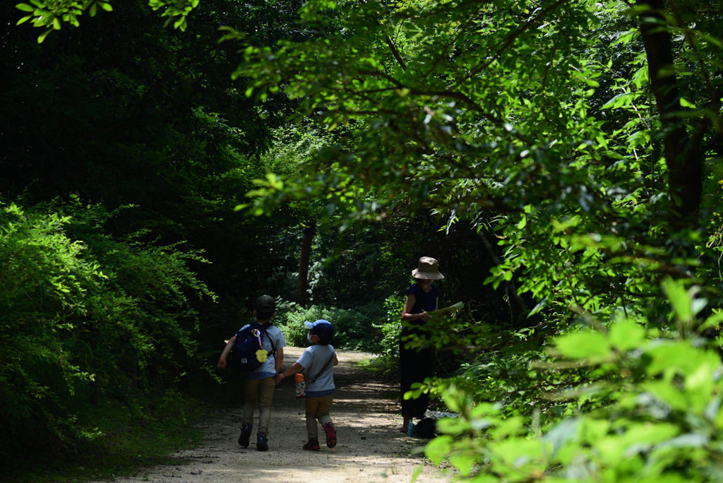 200805京都植物園25
