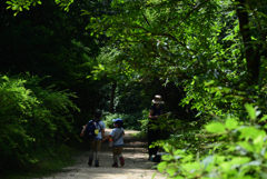 200805京都植物園25