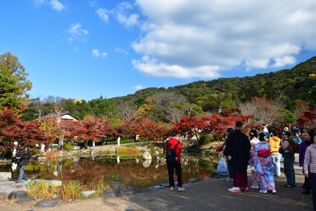 251120e円山公園46