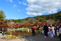 251120e円山公園46