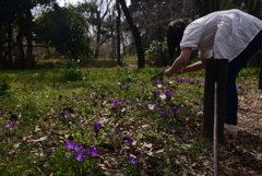 220312a京都植物園51