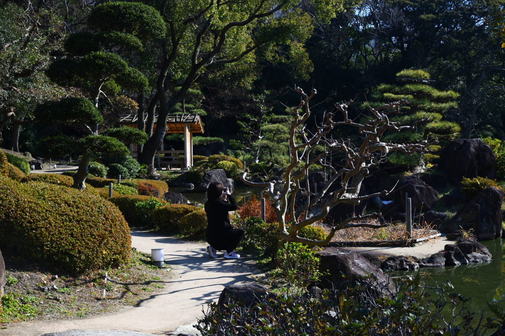 220108a慶沢園03
