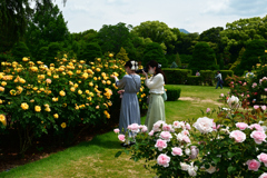 250518京都植物園24