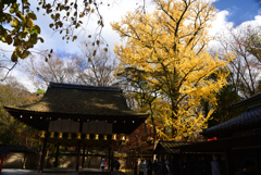 241215b下鴨神社31