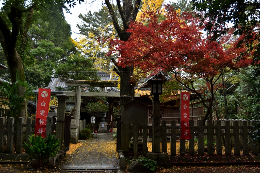 181204b京都御苑17