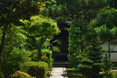 190707a建仁寺27西来院
