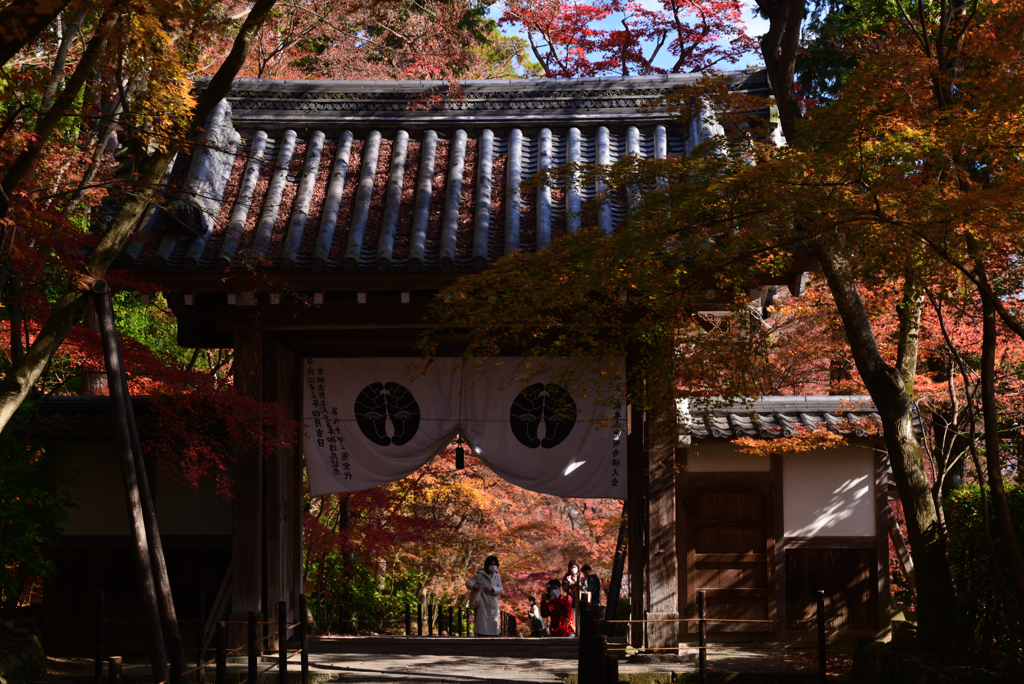 211203a光明寺46
