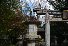 210211b北野天満宮09