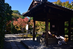 211029b勝林寺40