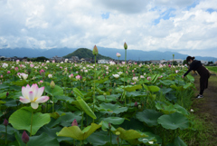 200718b藤原宮跡32