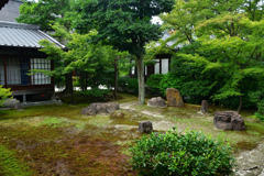 250829a建仁寺18