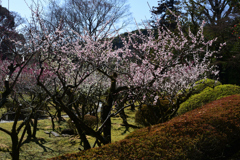 230315石山寺12