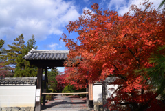241206b天龍寺19