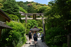 230527c哲学の道21