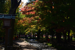 221108a上賀茂神社22