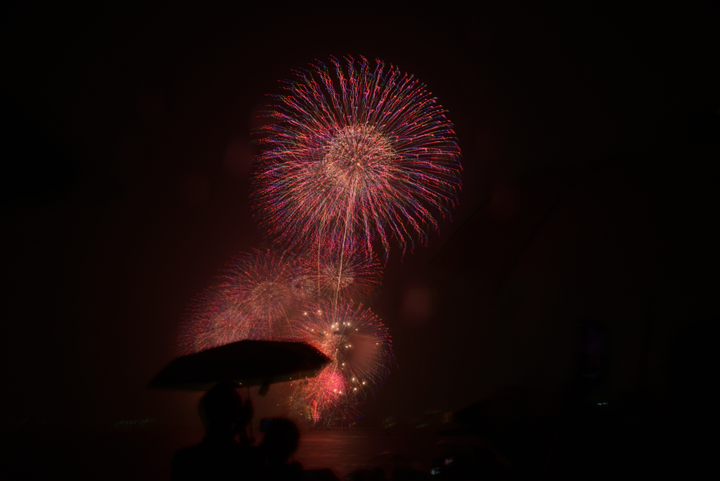 250808びわ湖花火02