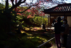 201124d栄摂院47