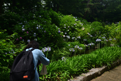 240622長居植物園18 240622長居植物園18