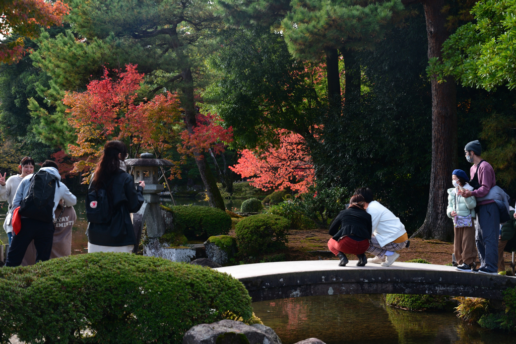 231127j兼六園40