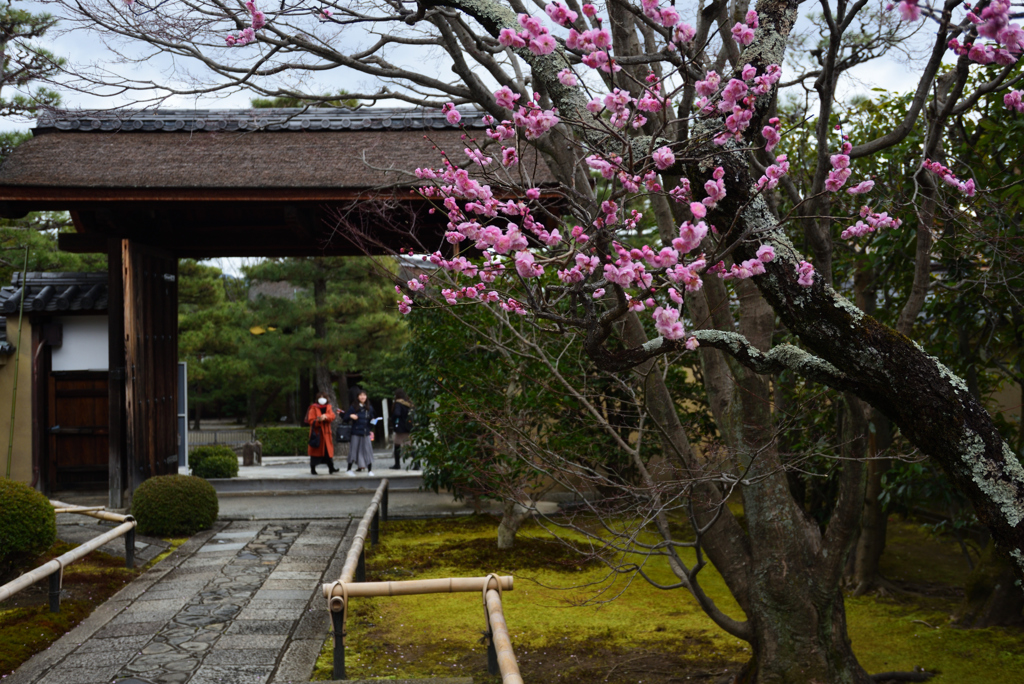 200201b大徳寺興臨院27