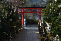 210115d宇治神社38