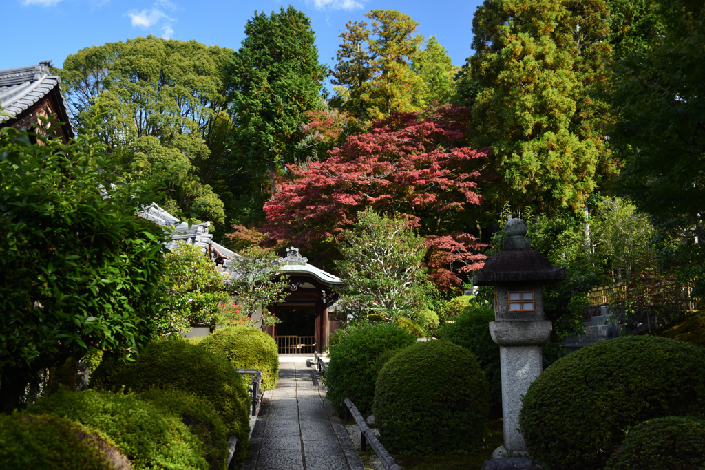 201103a金戒光明寺06