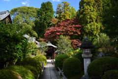 201103a金戒光明寺06