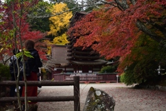 181114b談山神社34