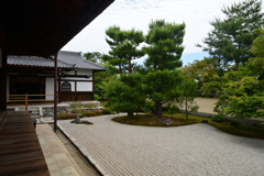 230604a等持院07