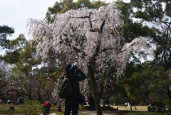 210317b京都御苑34